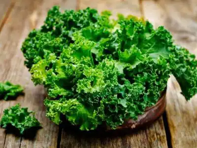 Green Leafy Vegetables Green Leafy Vegetables